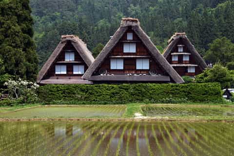 From Kanazawa: Day Trip to Shirakawa-go by Charter Car