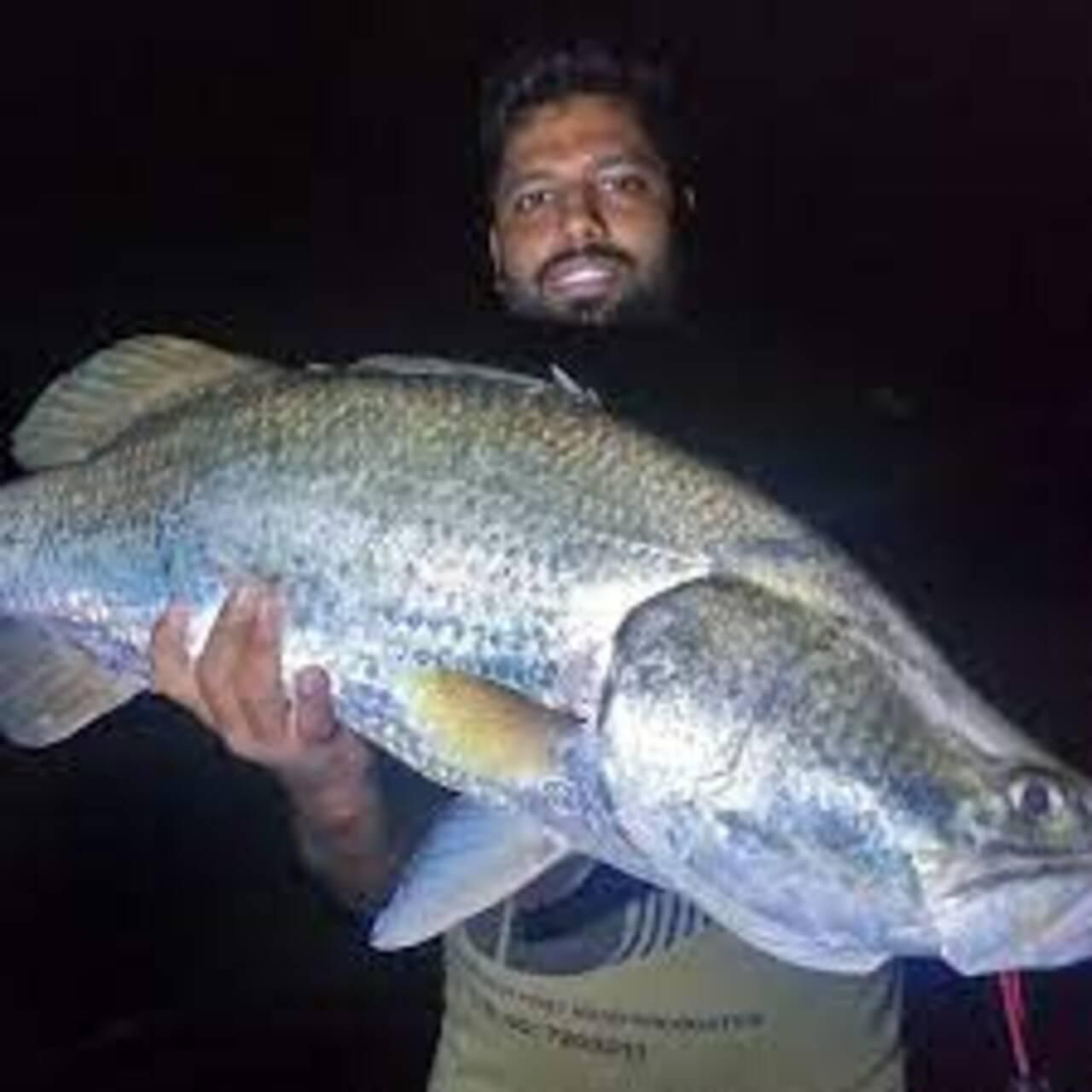 Trincomalee: Nachtangel-Abenteuer