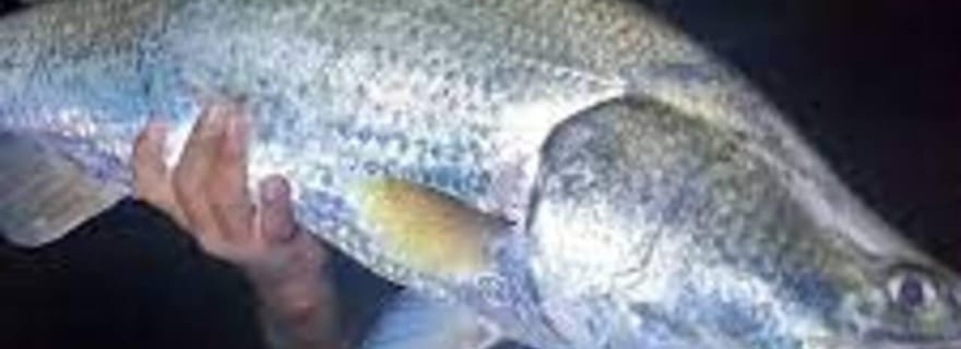 Trincomalee : aventure de pêche nocturne