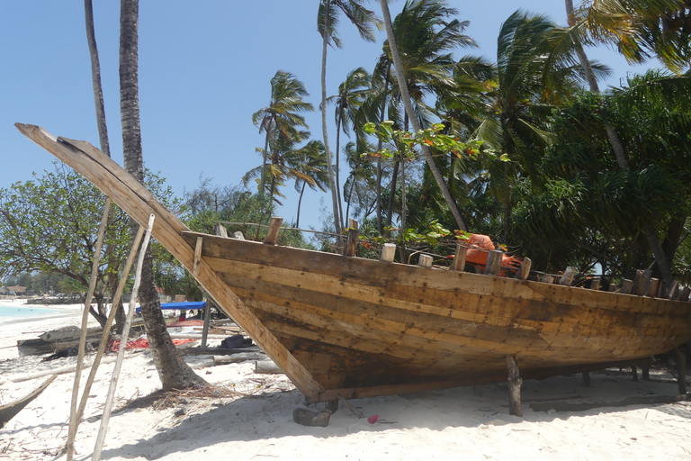 Zanzibar: wycieczka po północnym wybrzeżu i sanktuarium żółwi