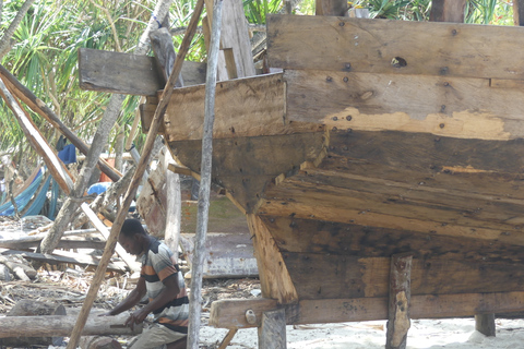 Zanzibar: tour naar de noordkust en schildpaddenreservaat