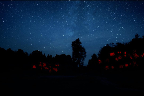 Discover phantom rock art in the archaeological park of Facatativá