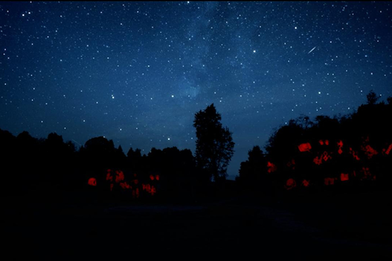 Discover phantom rock art in the archaeological park of Facatativá