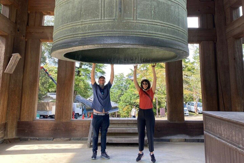 From Kyoto/Osaka: Nara Private Tour with Guide and Vehicle Minivan (Up to 4 PAX) from Osaka