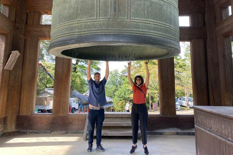 From Kyoto/Osaka: Nara Private Tour with Guide and Vehicle Minivan (Up to 4 PAX) from Osaka