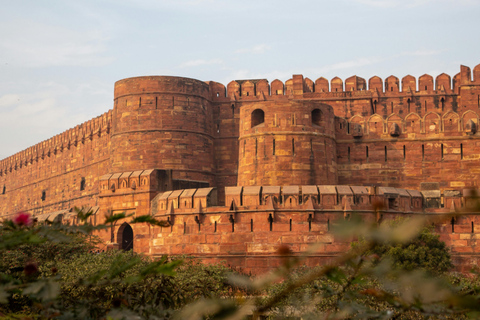 Depuis Delhi : voyage de plusieurs jours dans le Triangle d'Or avec safari tigresVisite du Triangle d'or de 7 jours sans hôtel