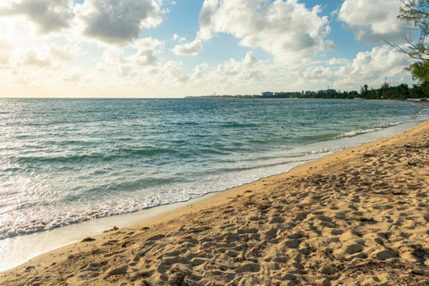 Nassau Bucket List: Private Full-Day Exploration Tour