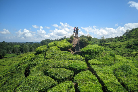 Bandung: White Crater, Scenic Tea Plantations & Hot Spring Open Tour: White Crater & Surroundings areas. with Tickets