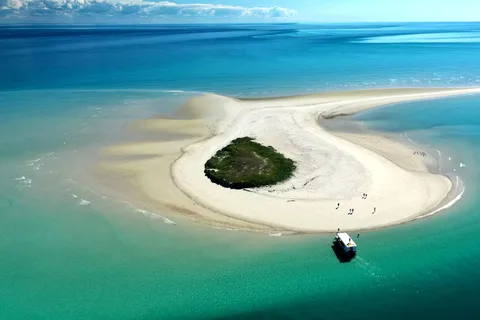 Hervey Bay: Turtle Discovery Eco Tour