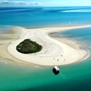 Hervey Bay: Turtle Discovery Eco Tour