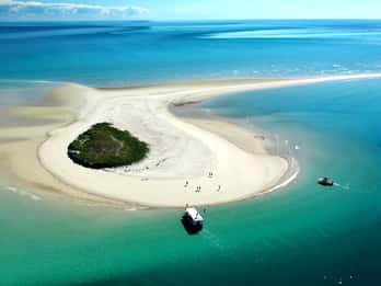 Hervey Bay : Excursion écologique à la découverte des tortues