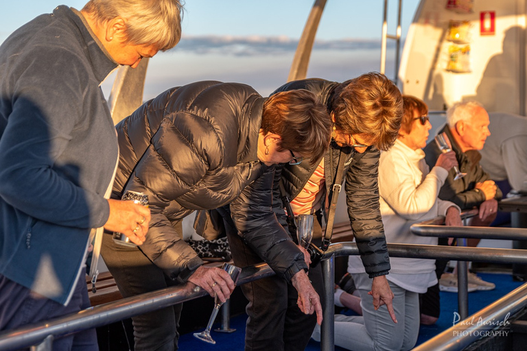 Hervey Bay: Relaxing Sunset Cruise with Champagne and Prawns