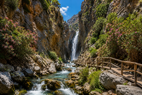 Heraklion: Kourtaliotiko Gorge, Preveli Beach Tour & Kalypso