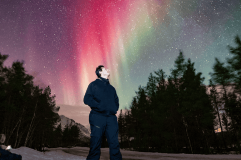 Tromsø: Small-Group Aurora Tour with Free Photos (8 Hours)