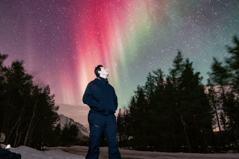 Tromsø: Small-Group Aurora Tour with Free Photos (8 Hours)