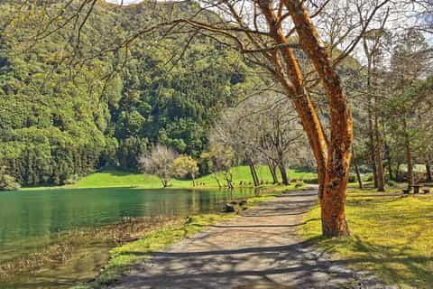 Azores Bikes  GetYourGuide