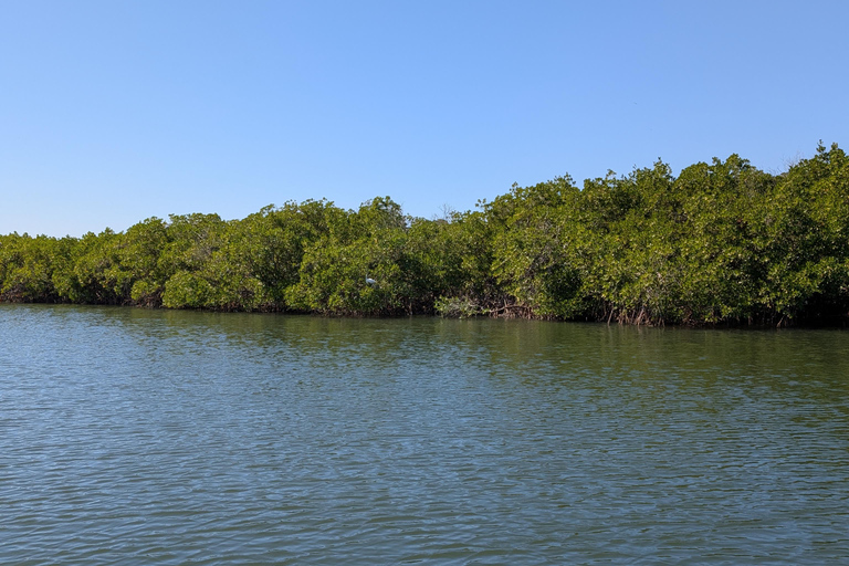 Saloum Delta: 3 days of adventure in the middle of nature, camping on a desert island Saloum Delta: Camping and Adventure