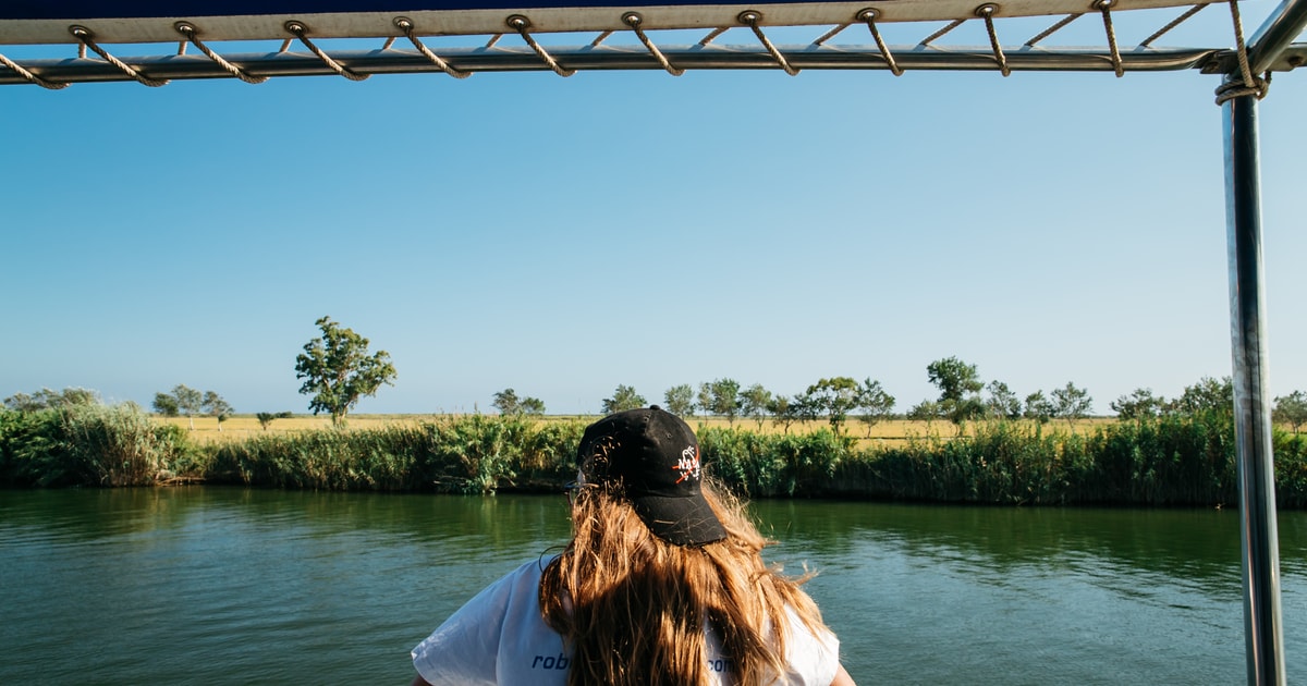 Ebro Delta Boat Cruise GetYourGuide