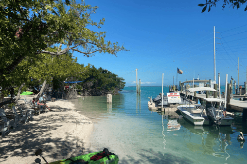 De Miami: visite privée en bus à ciel ouvert de Key Largo et Islamorada