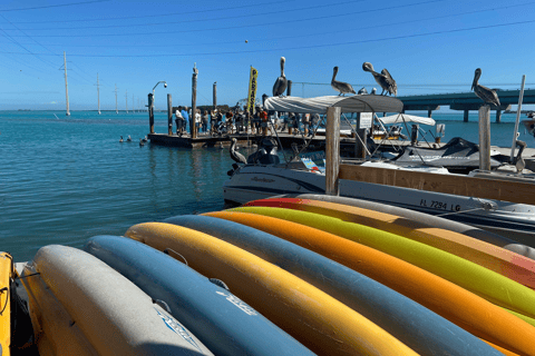 De Miami: visite privée en bus à ciel ouvert de Key Largo et Islamorada