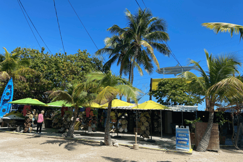 Från Miami: Key Largo &amp; Islamorada privat rundtur med öppen buss