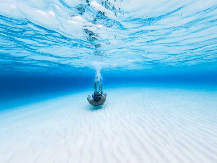 Cozumel: Snorkel By Catamaran, El Cielo Bay And Beach | GetYourGuide