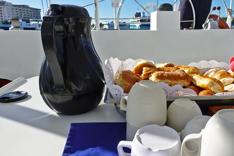 Desde Cancún: excursión de un día en catamarán a Isla Mujeres con almuerzo