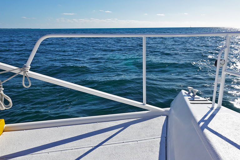 Desde Cancún: excursión de un día en catamarán a Isla Mujeres con almuerzo