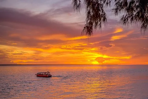 Darwin: Sunset Harbour Cruise with Fish and Chips Dinner