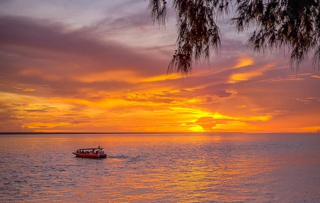 Visit Darwin Sunset Harbour Cruise with Fish and Chips Dinner in Darwin