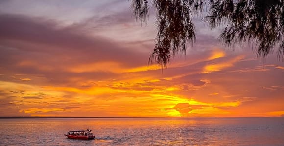 Darwin: Hafenrundfahrt bei Sonnenuntergang mit Fish and Chips Dinner