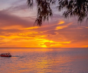Darwin: Sunset Harbour Cruise med Fish and Chips-middag
