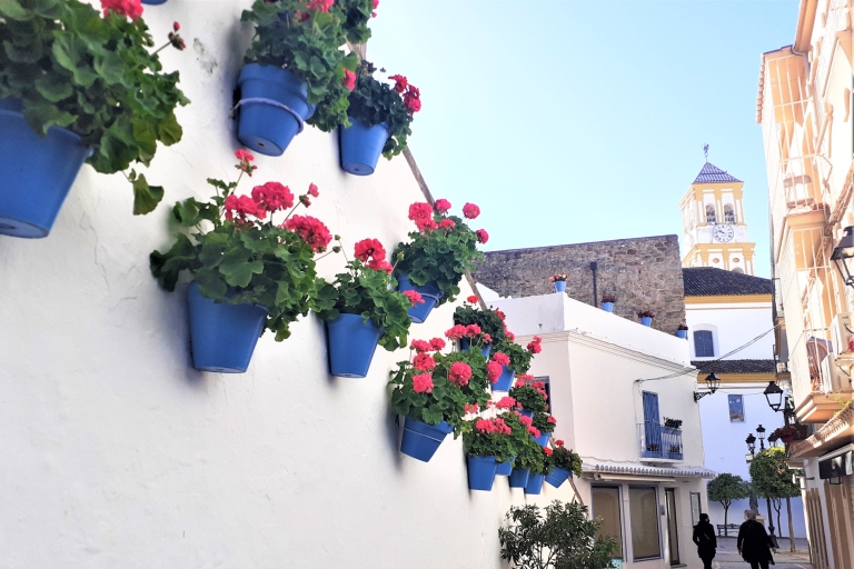 Marbella: Recorrido turístico a pieVisita privada