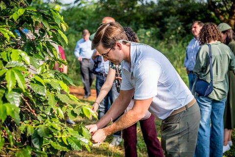 Nairobi: Fairview Coffee Estate Tour & Tasting