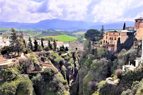 Ronda: tour privato dalla Costa del Sol