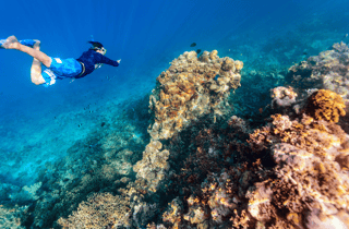 Da Dubai: Gita di snorkeling a Dibba Al-Fujairah