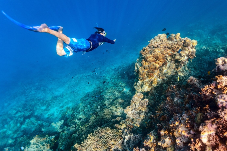 Uit Dubai: Discovery Scuba Diving voor beginners In Fujairah
