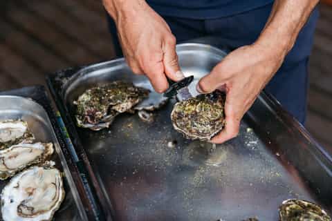 Ebro Delta: Boat Trip to a Mussels and Oyster Farm