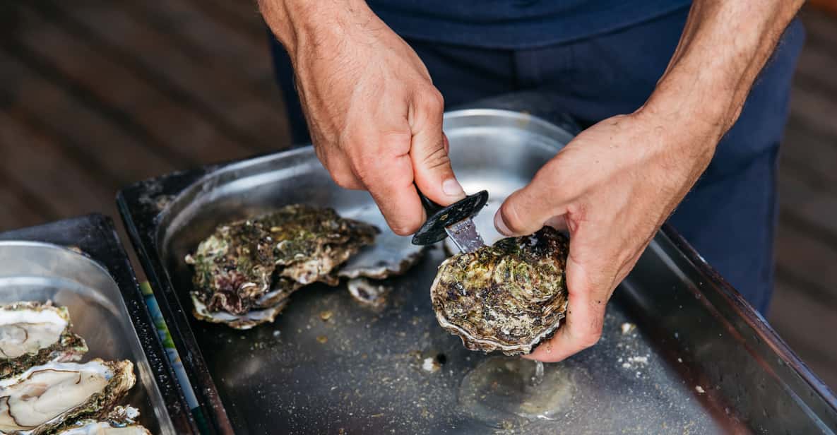 Ebro Delta: Boat Trip to a Mussels and Oyster Farm