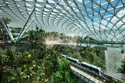 ジュエル チャンギ空港: Mastercard® キャノピー ブリッジへの入場