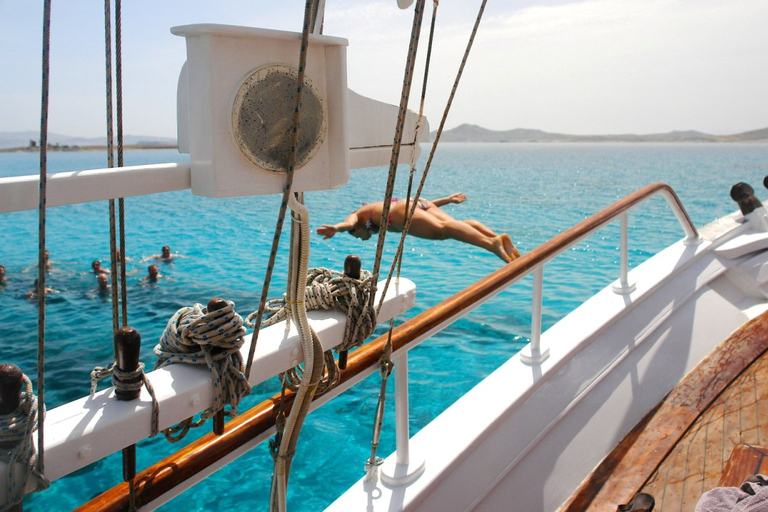 Desde Miconos: crucero a Delos y Rinia con almuerzo