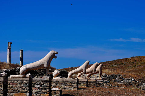 Da Mykonos: Crociera a Delos e Rhenia con pranzoDelo e Rineia: crociera con grigliata da Mykonos