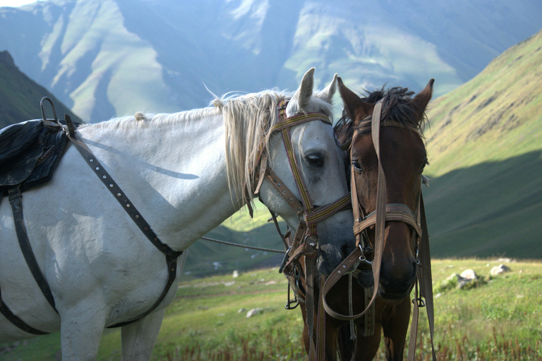 Stepantsminda: Scenic Arsha Waterfall Horseback Adventure