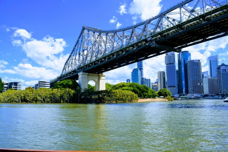 Brisbane : Croisière fluviale touristique avec thé du matin