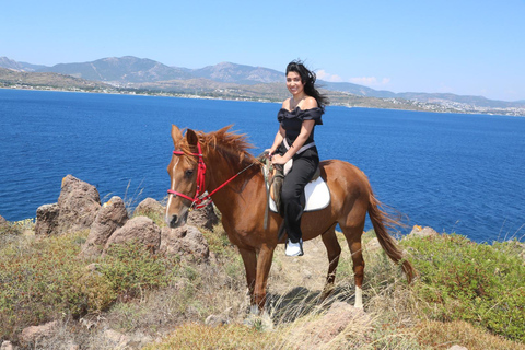Bodrum: Horse Riding Experience with Forest or Seaside Route Seaside Horse Riding Tour (2 Hours – Beach Route)