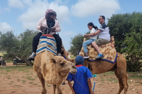 Sunset Buggy Adventure with Camel Ride and Moroccan Tea Shared Buggy Offer