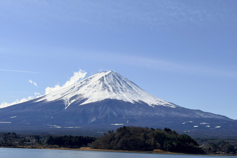 Tokyo: Private Daytrip to Mount Fuji - Fully Customizable Mt Fuji Private Luxury Van Tour (Customizable Experience)