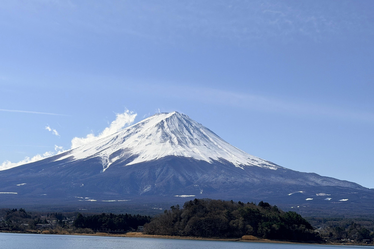 Tokyo: Private Daytrip to Mount Fuji - Fully Customizable Mt Fuji Private Luxury Van Tour (Customizable Experience)
