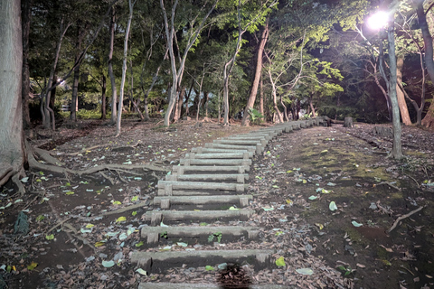 Tóquio: Verdadeiros Crimes e Fantasmas, excursão mal-assombrada (3 horas)