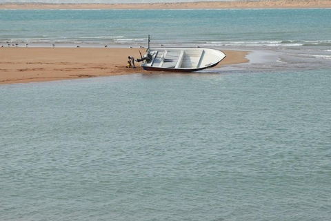 Djerba: a relaxing getaway with sand, sea, and pink flamingos
